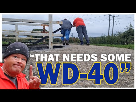 250 - The Immovable Swing Bridge! | Autumn Cruise Through Newbury - K&A Canal