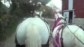 preview picture of video 'Horse drawn cart ride on the lanes of Rockport'