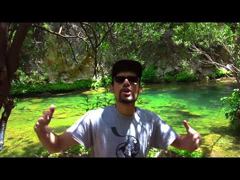 O.G. Willikers - Ordinary Guy ft. DJ Cap OFFICIAL MUSIC VIDEO