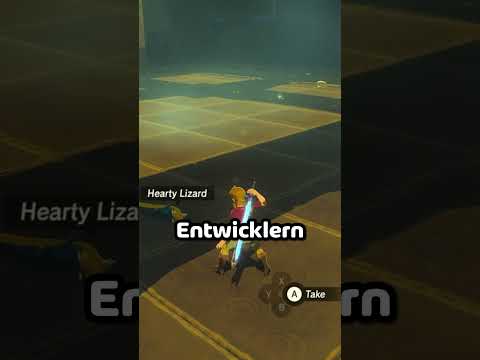 Secret Shrine in Zelda Breath of the Wild!