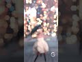 Ariana Grande 4K Edit Arianators Arianagrande Fanedit ️