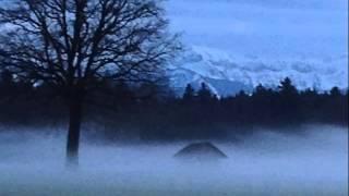 Diener &amp; Chnächt