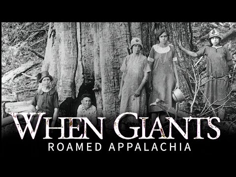 When Giants Roamed Appalachia: The Story of the Chestnut