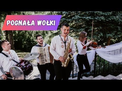 Zespół Zadzior - Pognała wołki
