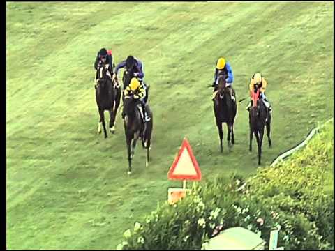 Galoppo 05/08/2015 - 2° corsa