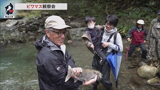 11月9日【びわ湖放送ニュース】学名付けた研究者と一緒にビワマス観察会