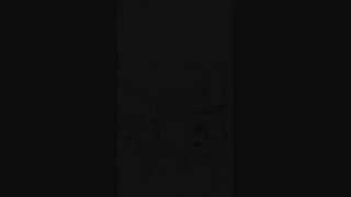 Big smo anything goes