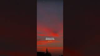 Download lagu mawelele  - yilamaphutha #amapiano #amapianotv mp3