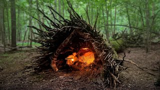Building a Cozy Shelter deep in a Hollow. Bushcraft, Survival