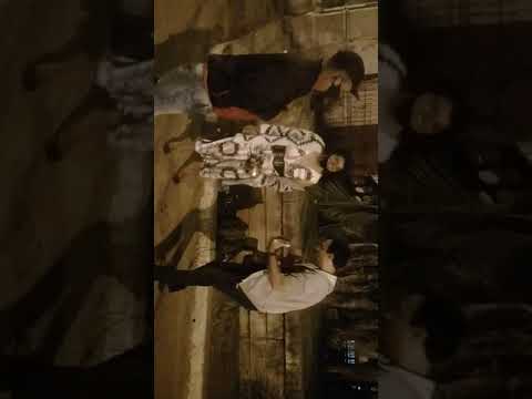 GAGUINHO E RONALDO LEAL CANTANDO FILHA DO RICK E RENNER