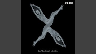 Cover art for Schmerzengel