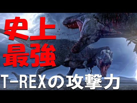 ティラノサウルス: 逆説的な咬合力