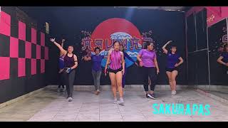 Download lagu SENAM AEROBIK PEMULA MAHIR❤❤ mp3