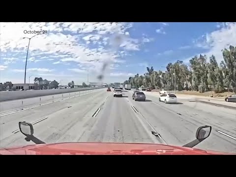 Undocumented truck driver was on drugs in deadly California crash that killed 3: police