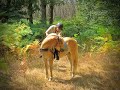 Caballo castrado Haflinger En venta 2022 Palomino
