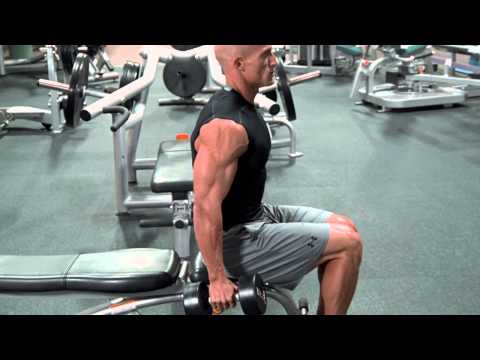 Seated Dumbbell Curl