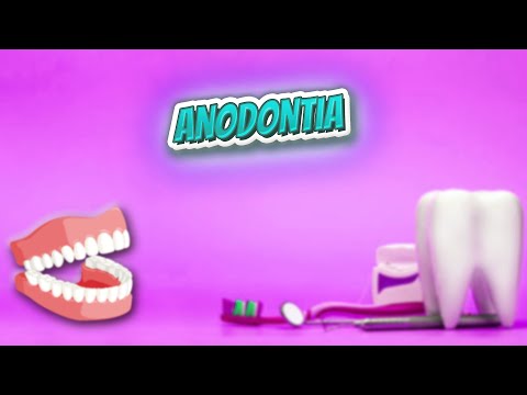 Anodontia - Everything Dentistry 🍎👄🔊✅