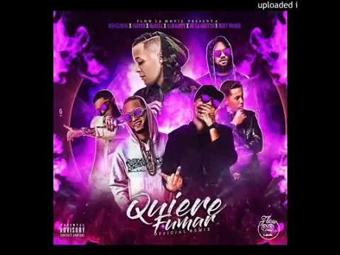 Nio Garcia Ft. Casper,  Darell , De La Ghetto, Almighty y Miky Woodz – Quiere Fumar (Remix)