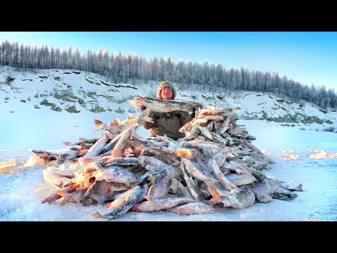 Фото ЭТО ШОК!!! ЗДЕСЬ ТОННЫ РЫБЫ!! Рыбалка, первый лед. Якутия.