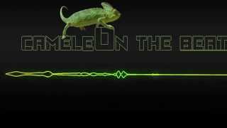 C Dot Castro - Royal Prod || Transport