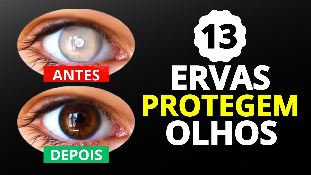 13 melhores ervas para proteger sua vísão