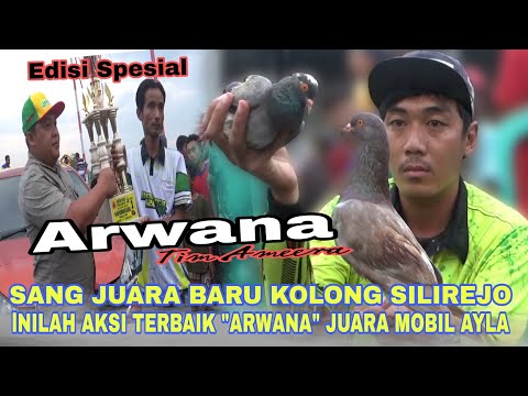 BEST MOMEN KEMENAGAN MERPATI ARWANA DAPAT MOBIL AYLA DI PPMTKI SILIREJO PEKALONGAN