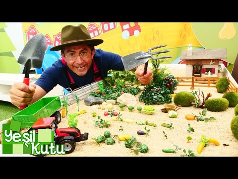 Nail Baba ile Bahçıvanlık Zamanı! 🌽🚜 Hasat, Ekim ve Budama Görevi