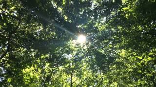 Hey Miss Lonely Shawn Phillips