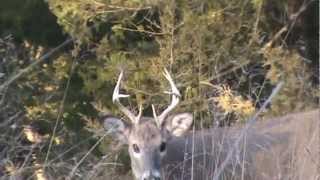 preview picture of video 'Deer Hunt 2011'