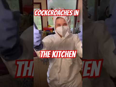 Cleaning a cockroach infestation in the Kitchen!