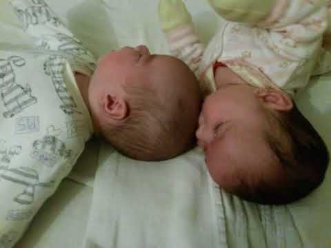 Sistersucking