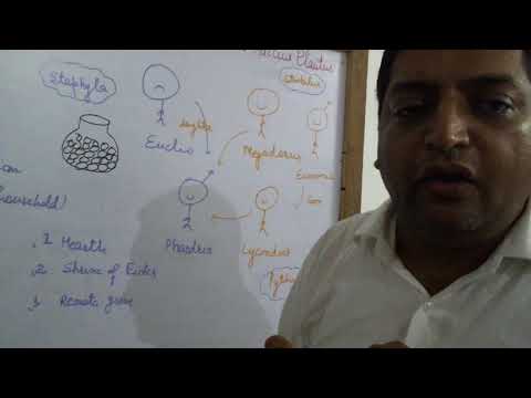 download lagu mp3 mp4 The Pot Of Gold Pdf, download lagu The Pot Of Gold Pdf gratis, unduh video klip The Pot Of Gold Pdf