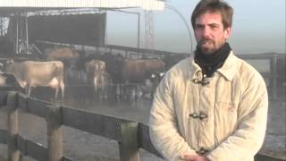 preview picture of video 'Producción de leche en Pergamino con rodeos Holstein-Jersey (#514 2013-06-01)'