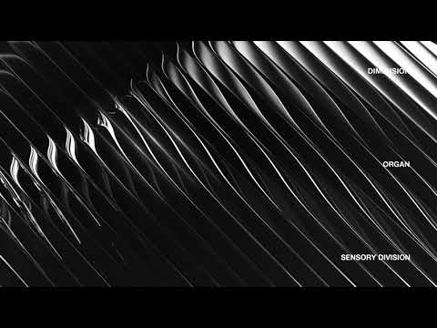 Video thumbnail for Sensory Division