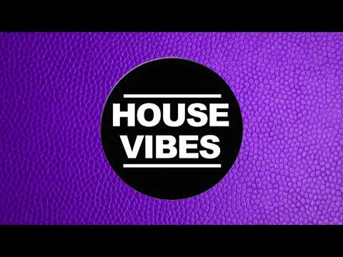 HOUSE VIBES RADIO Ep. 36 - ANIMALAZTIK