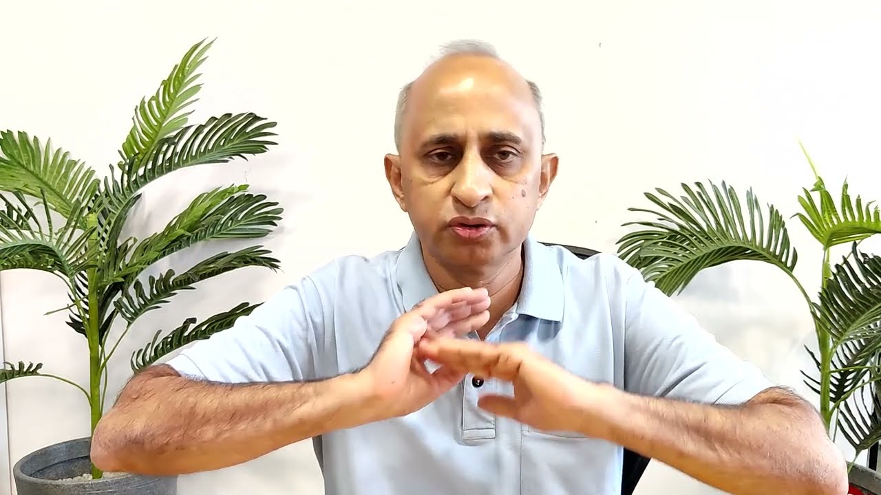Pramit Bhargava - LOUIE VOICE SDK: AN AI-DRIVEN VOICE INTERFACE FOR APPS & WEBSITES