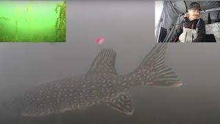 Ice Fishing LIVE w/ Underwater Views (Multi-Cam)