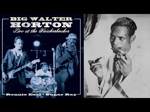 "Big" Walter Horton – Walter's Shuffle  / Live  1980