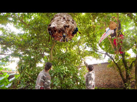 Clean Up 96| While Trimming A Big Tree, Catch A Giant Hornet Nest Which You Should Never Approach To