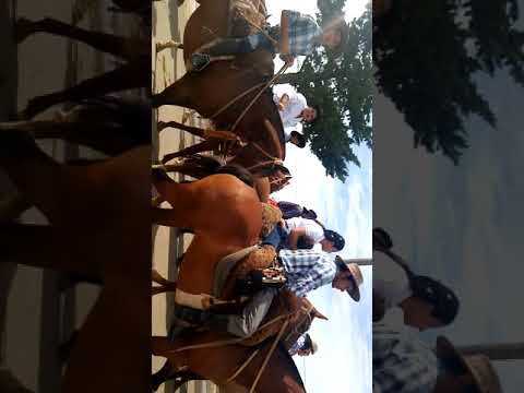 Él desfile de vichadero