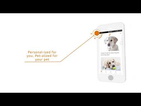 BabelBark mobile app for pet parents