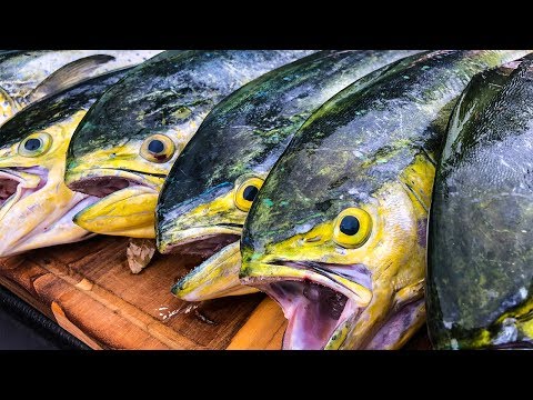 Dorado, Mahi Mahi, Dolphin {Catch Clean Cook} Mahi Piccata