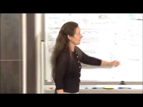 08   Fantastic Fat (clip)