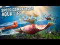 SPEED COMPARISON 3D Aqua Life