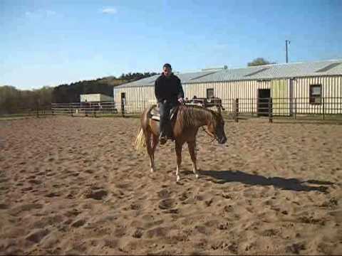 Dyn To Be A Vintage Final Video - 2012