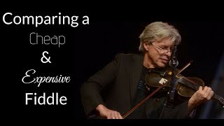 Comparing a Cheap ($120) and Expensive ($8000) Fiddle