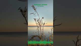 Miniature YouTube : Summer Dream | Ambiance Méditative & Apaisante par Soochrys (a6e19f)