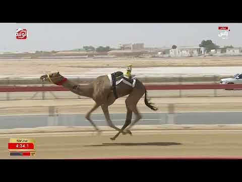 ش 1 (الصايله) لـ سيف مبارك بن هواش الخييلي 12:45:51 ، ختامي الوثبة 2026/05/15 ثنايا