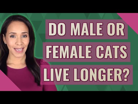 Do male or female cats live longer?