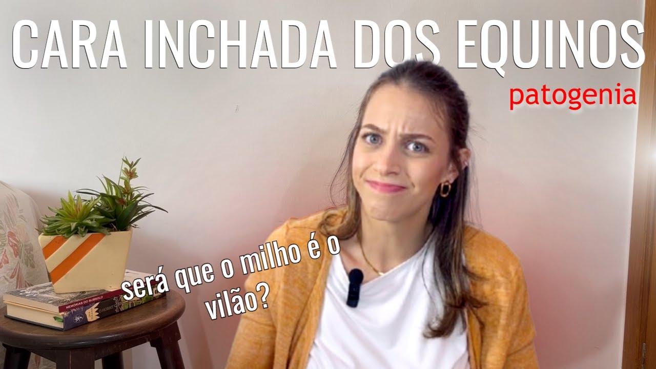 Cara inchada dos equinos | Descomplicando doenças